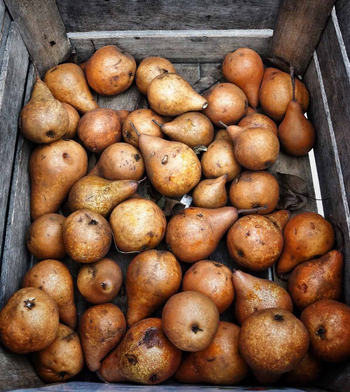 bosc pears bosc pears in a wood crate