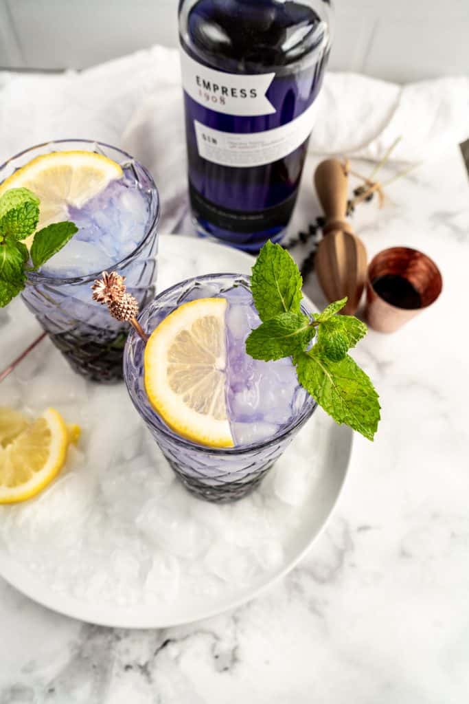 blueberry gin mojito blueberry gin mojito on drink tray shot from above