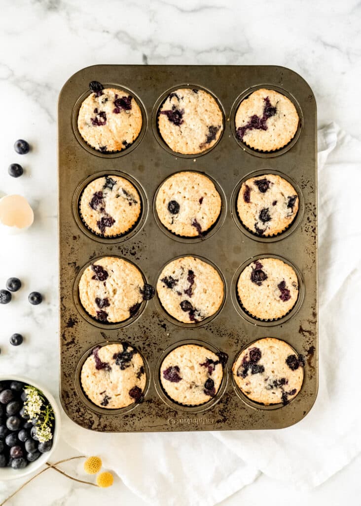 blueberrymuffins 2