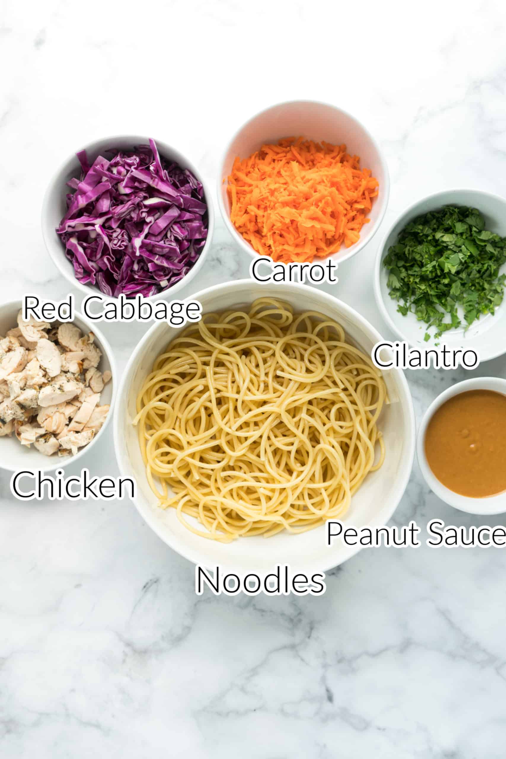 Overhead view of ingredients for Peanut Thai noodle salad including spaghetti noodles, shredded red cabbage, carrots, chopped cilantro, cooked chicken, and creamy peanut sauce arranged in bowls on a white marble surface.