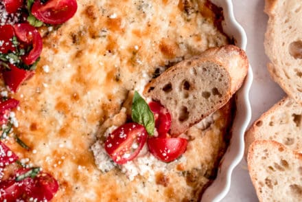 chicken alfredo dip with toasted slices of baguette and bruschetta tomatoes on top